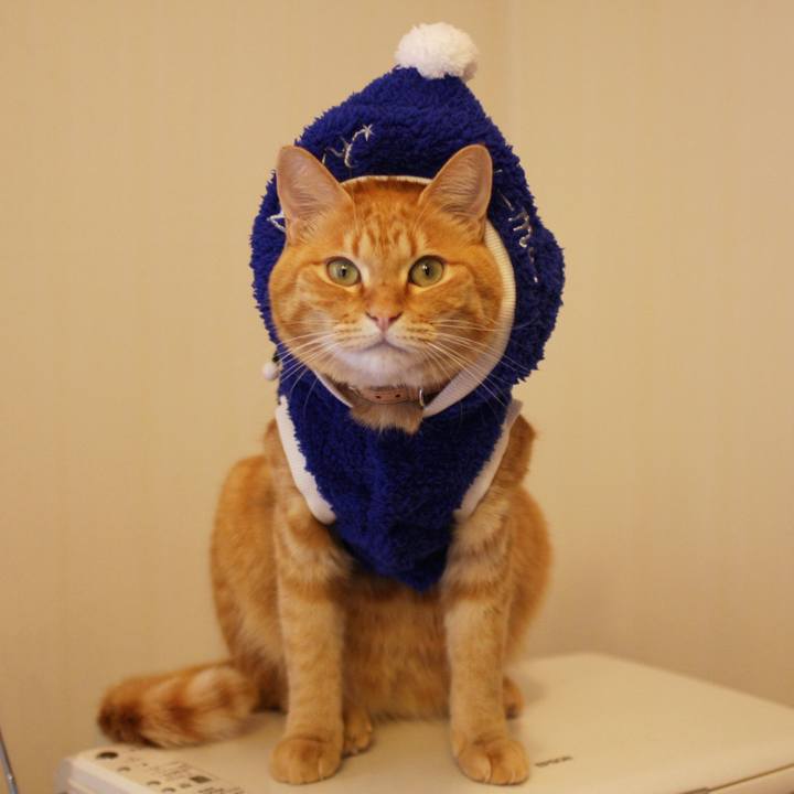 49302bcf 820c 4268 b694 aa4e07fe3807 1764749089176