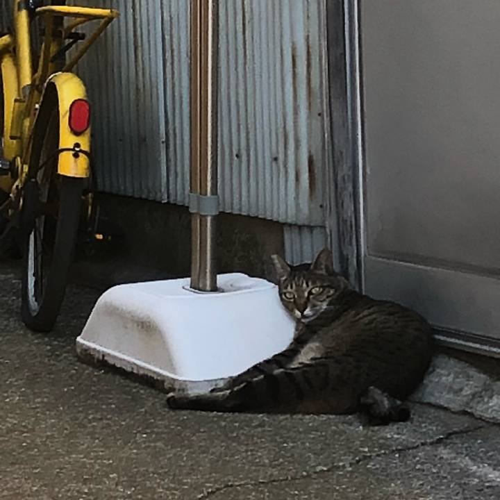 493054be dacf 426a b980 c864f50515b5 1534968409578