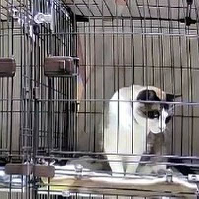 49305879 dd5d 4661 b7b9 9848c1fcd47a 1750450133885