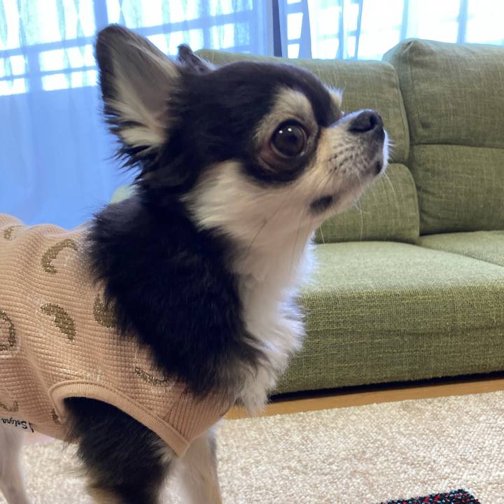 49306a27 221f 4ac4 969d 03da64321f98 1683087978313