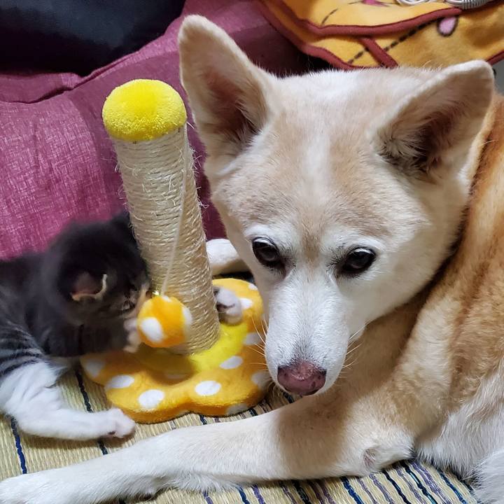 4930830d c7d8 4ca6 a89f b52546b88579 1626662357200