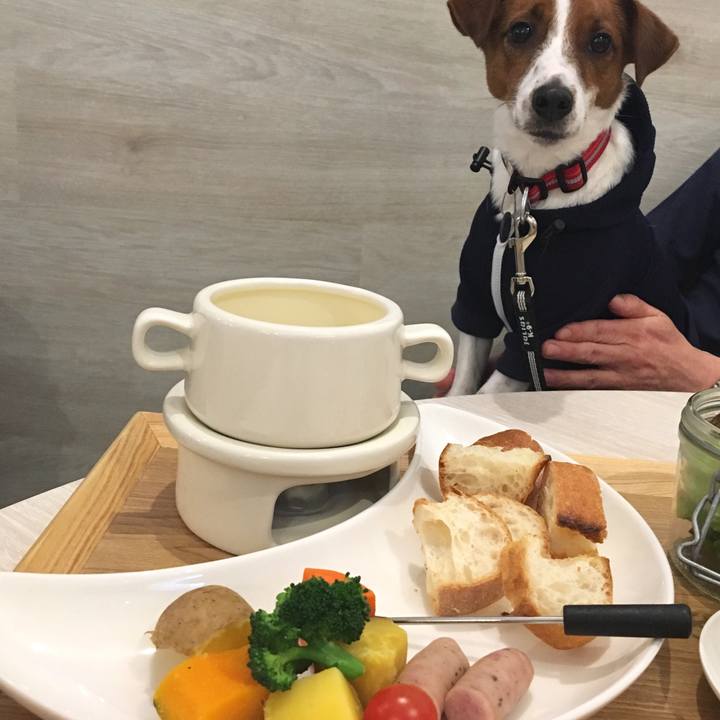 4930bdff e4ae 412d 84a9 d82cf6db6e4f 1520143896206