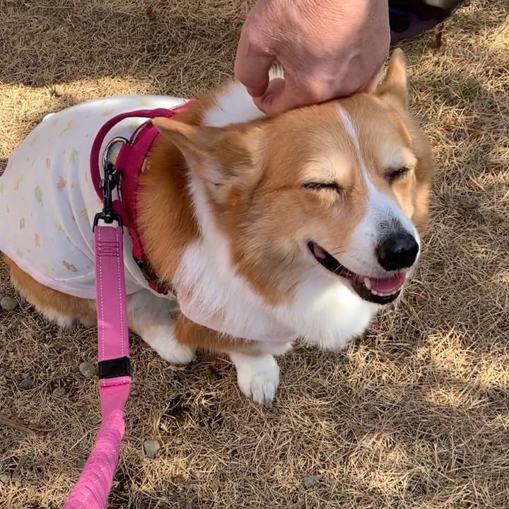 4930d80f d8ac 4e0c 9361 8041930f40ee 1676175841598