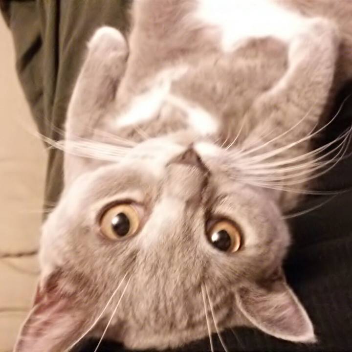 49311144 0690 46c8 b1d0 25e0c5c646a5 1535452024377