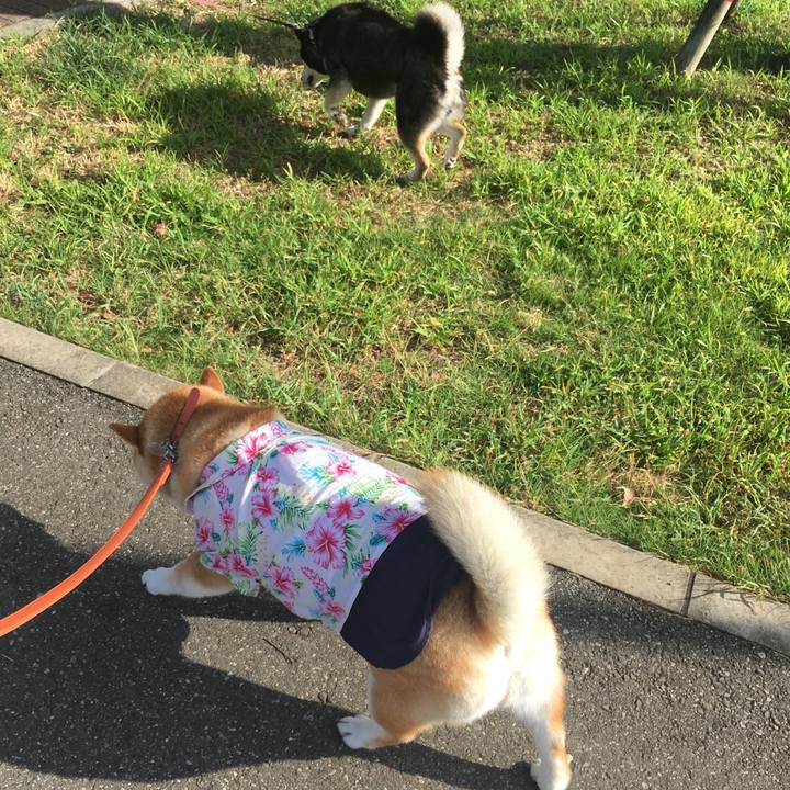 49318282 d099 44c3 a636 366e1cb5713b 1565049139656