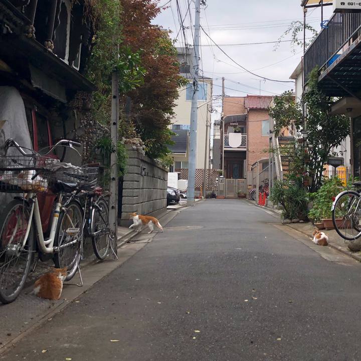 4931a73a 6f7e 4780 b8fe f3da09272968 1606143900050