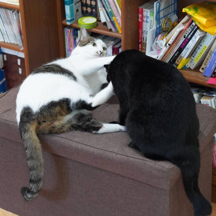 4931a99a 1a53 4b11 9ec5 91f96c2f5707 1623124947703