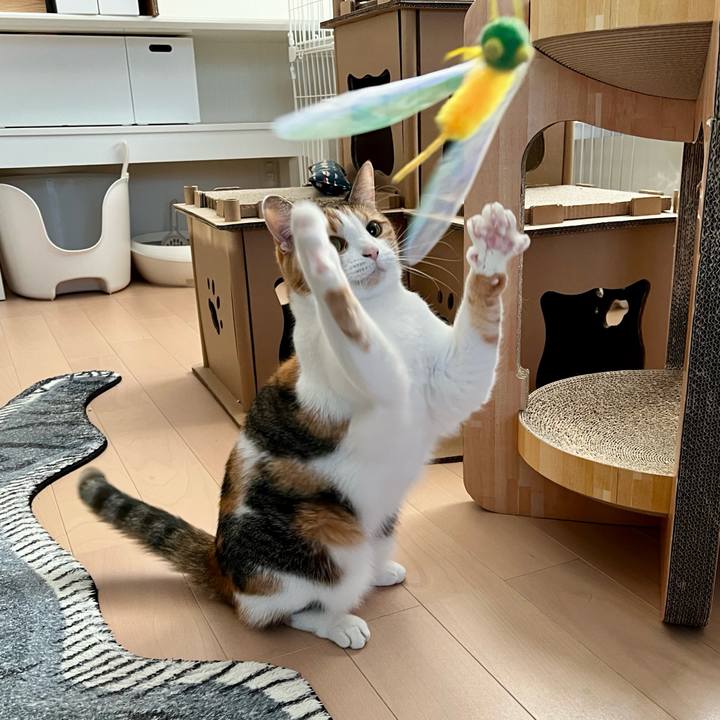 4931d713 dedf 4e89 a13b 5e8e5a9da608 1770348405888