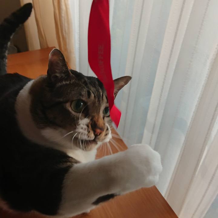 4931e85d a7c1 4e76 8861 44b3758d0b26 1572475715072