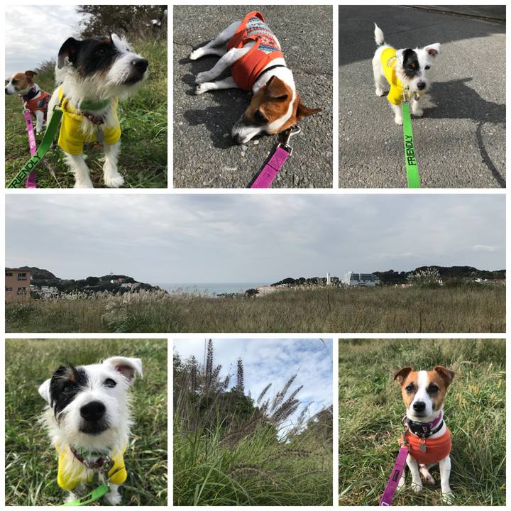 4931f129 b5ff 4789 b171 beadfdceb473 1508807611128