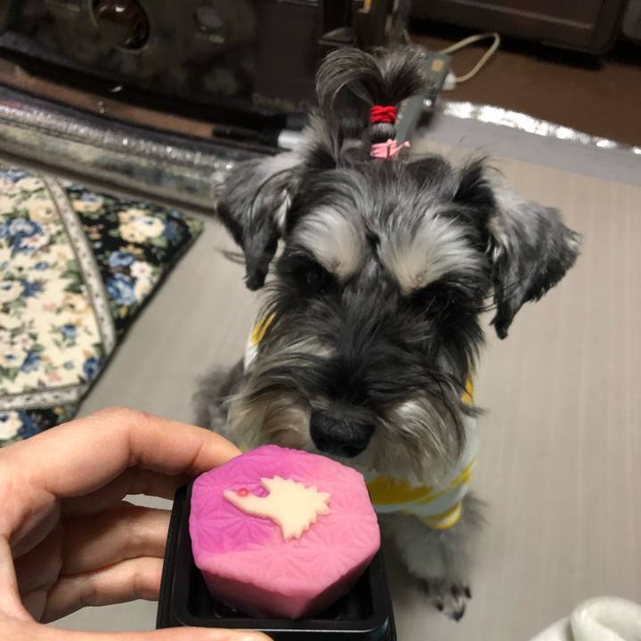 49320e40 0276 404f ba7a 5e9a2058ee39 1609488614390