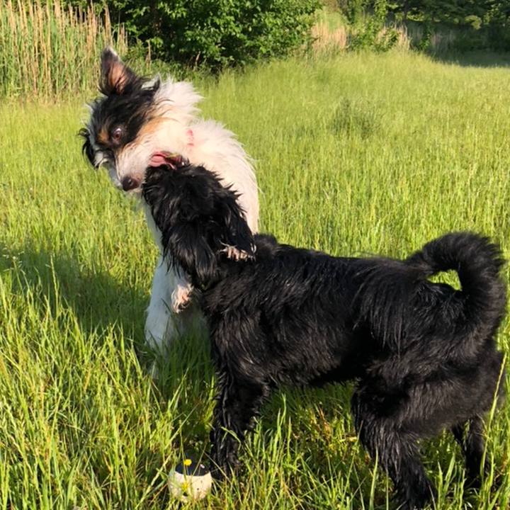 49322298 dbca 461b b66f 1c7c4713afdb 1558568900856