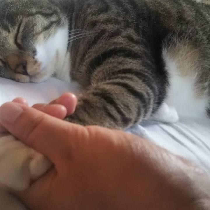 4932246c 64d0 484c a51e 0d274c4d5586 1627075246808