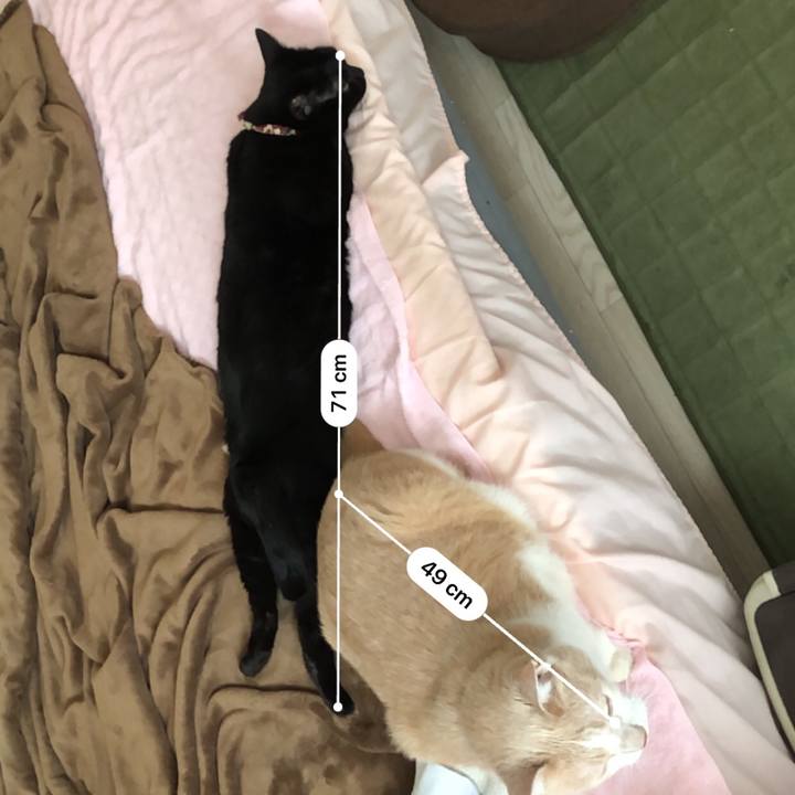 49325924 7159 42bc a992 0c13e7b23511 1591845783969