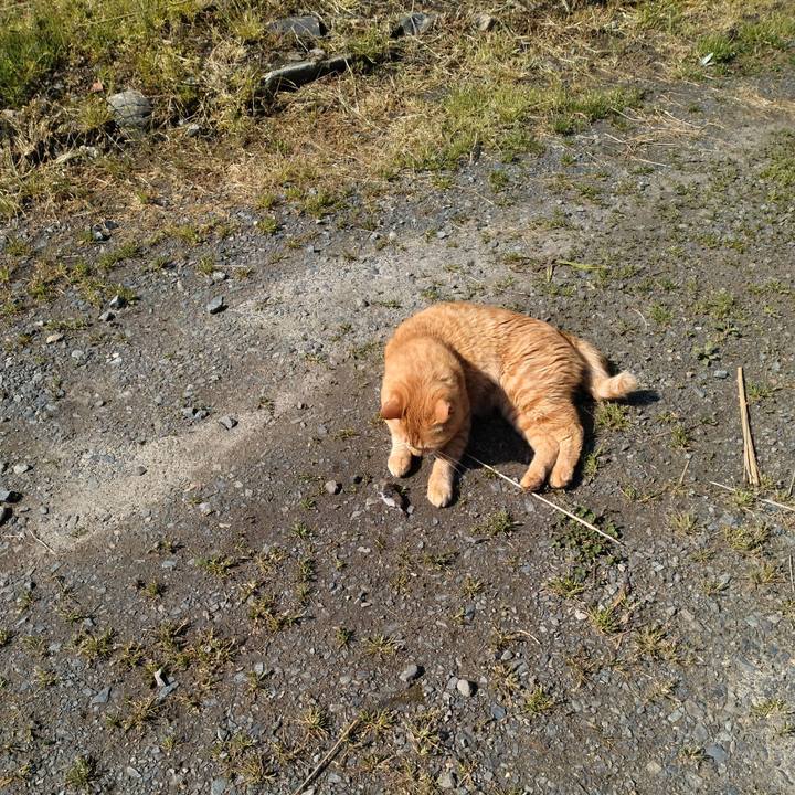 49326d2f 6940 4a6f b098 cea9e8358eda 1683678730034