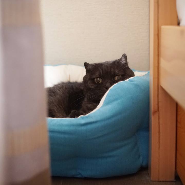 49327b44 9d05 419d b37b 3a67f91f601a 1595494426545