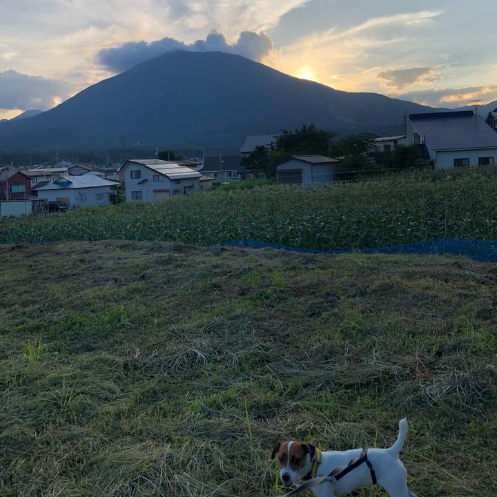 4932966b 7682 4dd9 a366 5726fabf8c2c 1532948393336