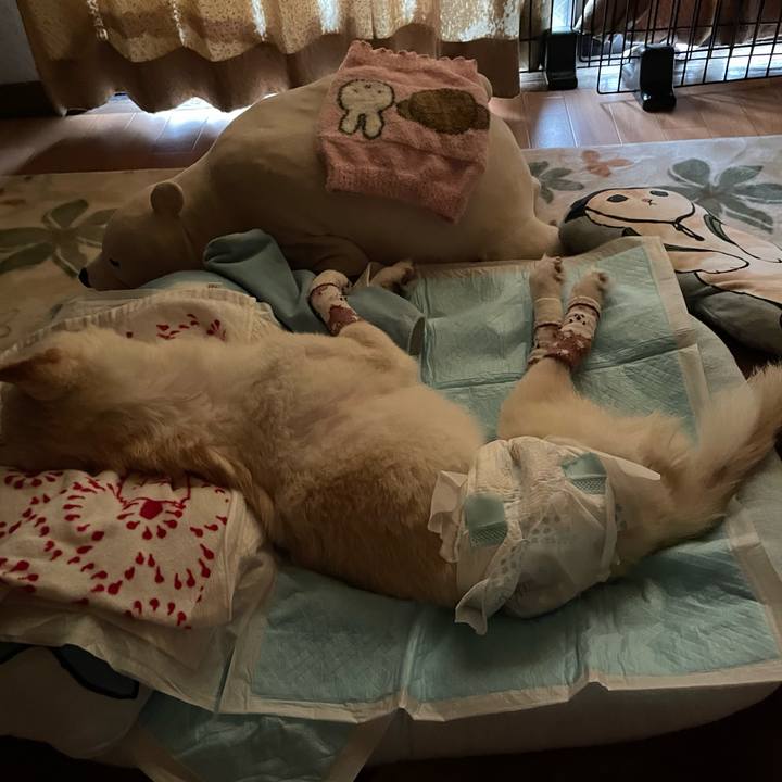 4932c3c7 f072 4763 9b10 d55574f8f25e 1688331921120