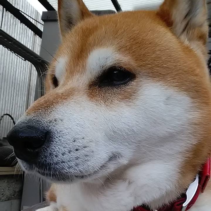 49330149 0dbb 460e 8166 6f025b55b29d 1648022523947