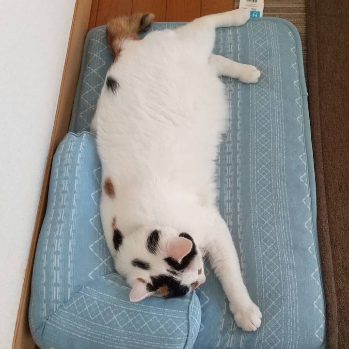 493311e0 ee57 4cdd aa9b 8f0fd7657845 1660868475372