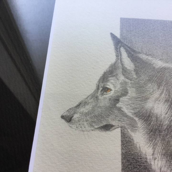 49332c0b d121 4af6 99c6 f028d6880f9e 1513655648972