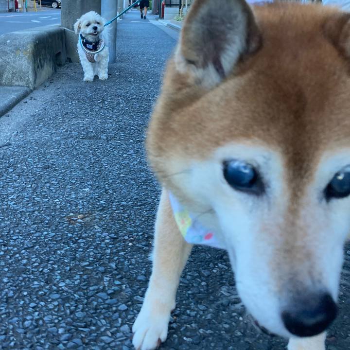 49338a33 e136 4dab 942d 530c4654ed22 1691053928551