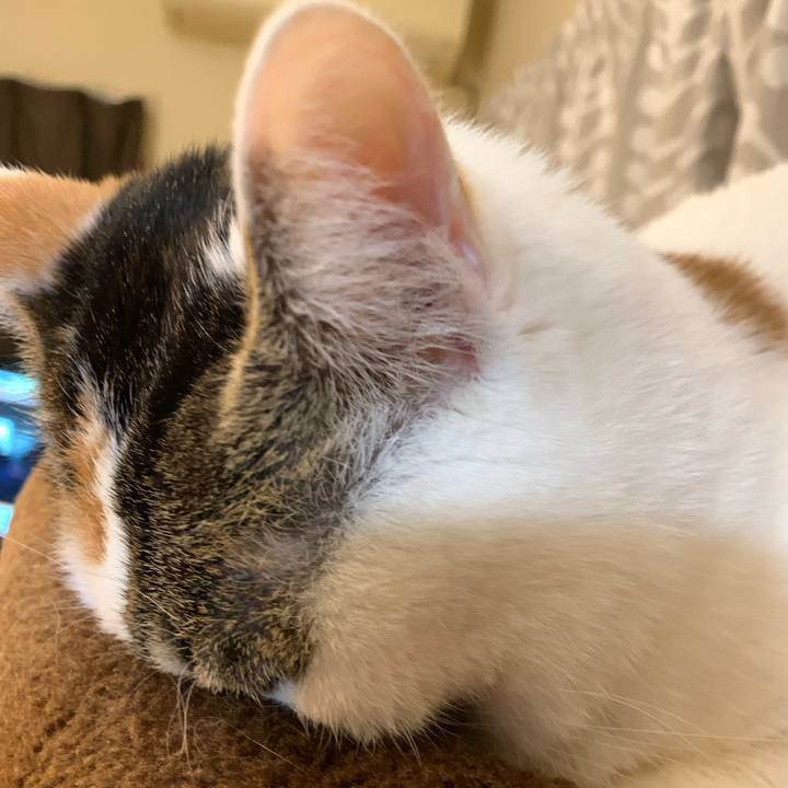 4933cc63 7828 42b9 b052 4e9340bfd6e5 1674940718033