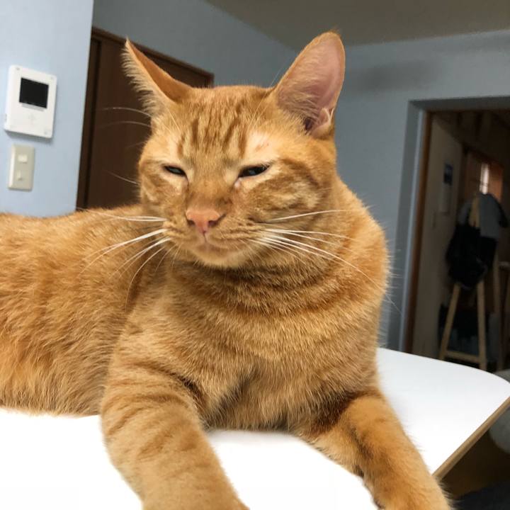 4933fa63 7f1d 499e b964 eceba838c740 1535927137939