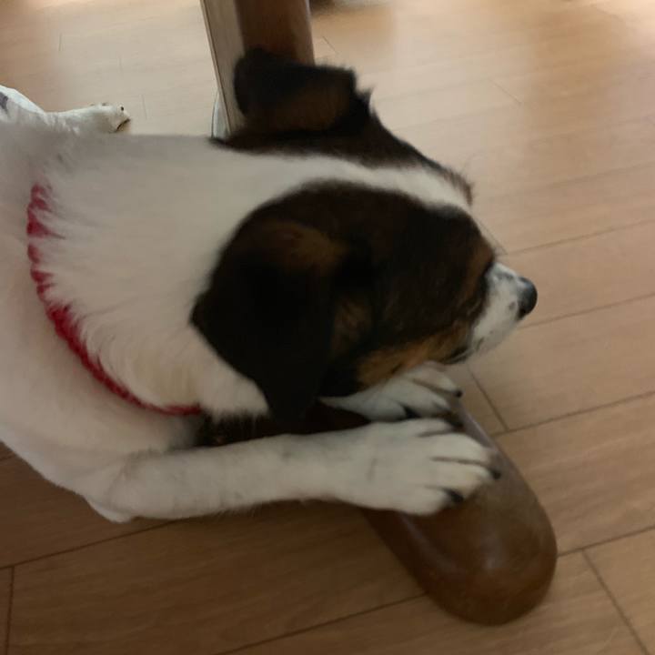 493409a6 5fae 47a7 92ed 246dae20d3ab 1568806756561