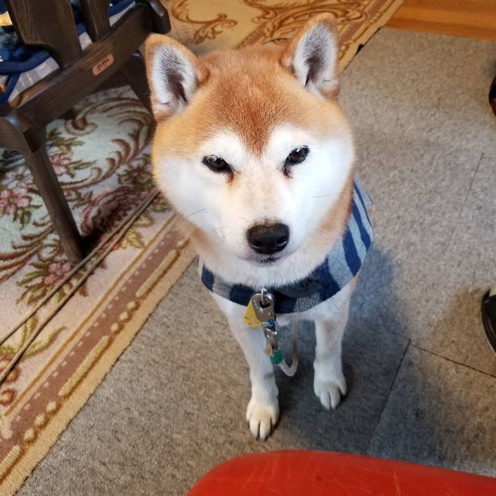 49342fa6 ce34 40a8 87d3 86142cb20ae5 1578980985467