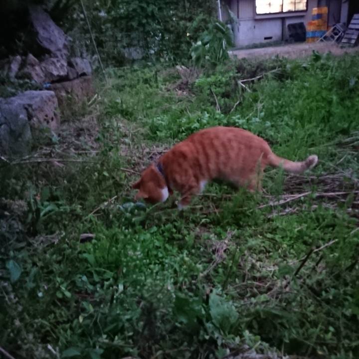 4934627a 0b18 41ac 87b0 01ed79b90825 1569662719414