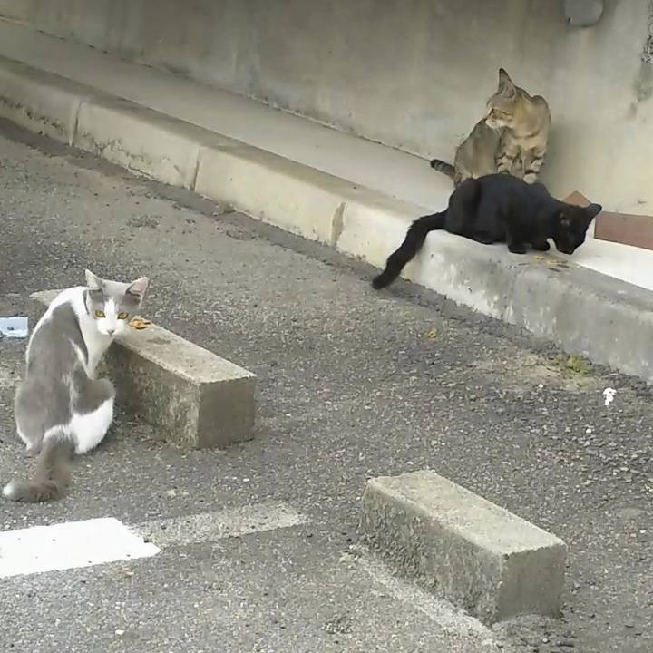 49346a74 558d 4769 8849 f1b1a216ad38 1535431846527