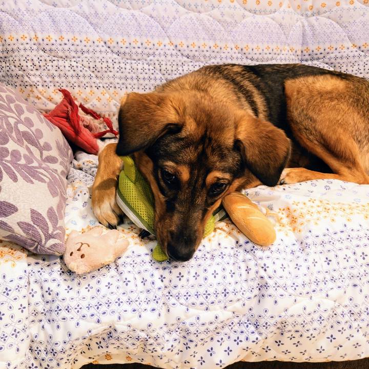 4934b708 49f1 4b69 88df d5d5e3fba813 1691051226172