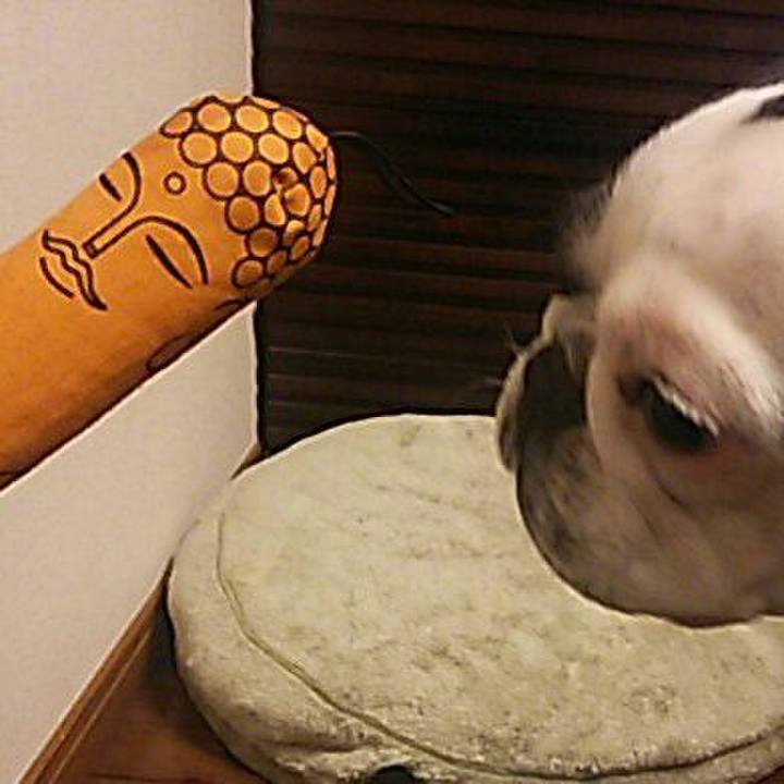 4934cc3c 5e4f 4cc0 b19e d21f69866ada 1515754560618