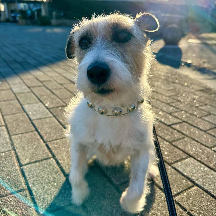 4934d668 dcb8 4424 bab9 169289379a2e 1739251293301