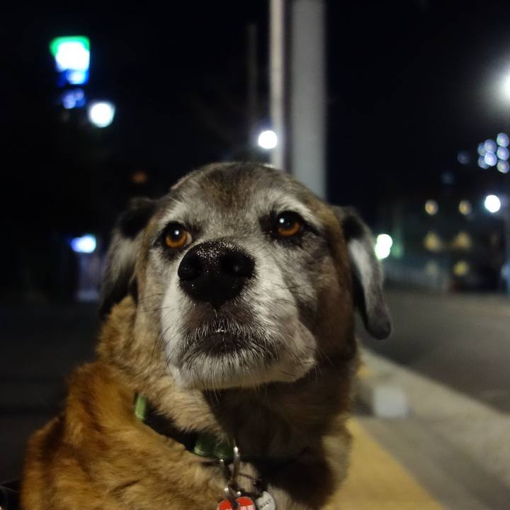 493519cd 2851 4630 833f a37a776bf278 1626479653747