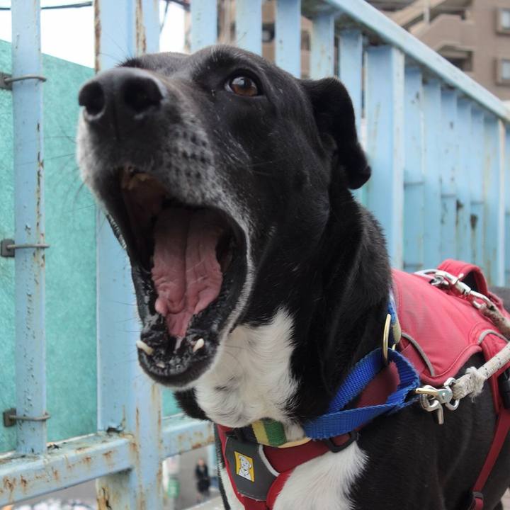 49351a88 3fcd 4471 b99c db7b1bbb831b 1680486052124