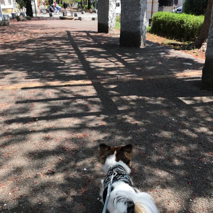 49352028 4eca 4534 a1e9 b5cbdb745e1a 1555726476411