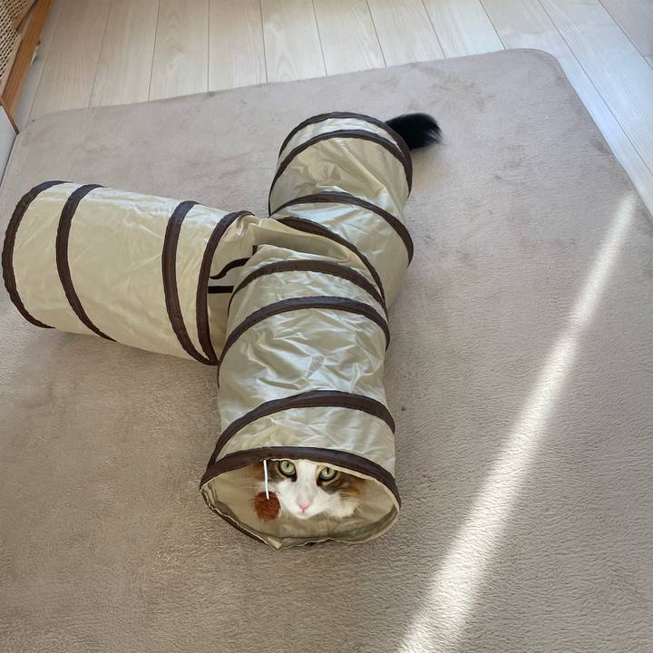 49353678 d0d6 47d1 84c5 9cf057d72b8e 1746567391351