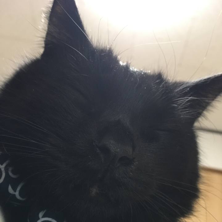 49358c19 6281 42ec 9fd6 4fbc3b73dc45 1546001760005