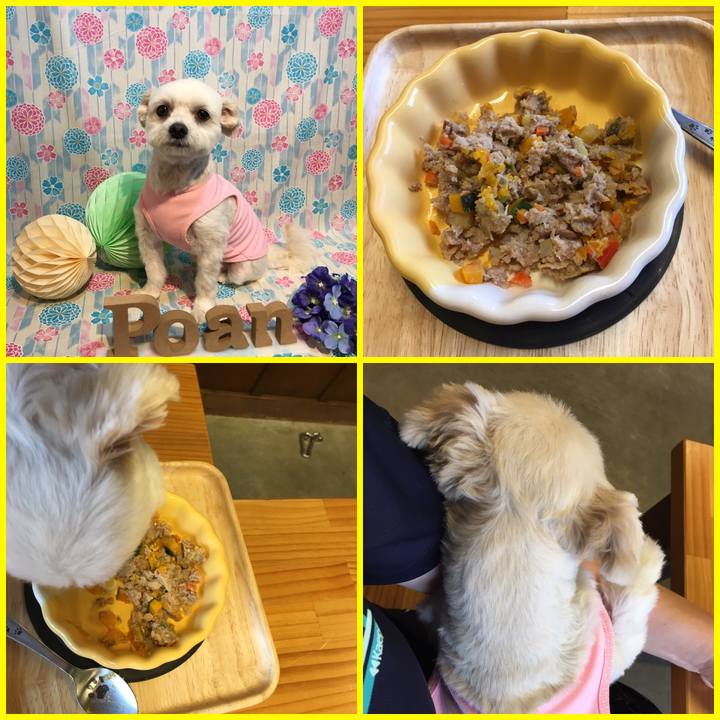 4935b6b0 9e7e 4edd b094 e3c89fe90080 1563598819008