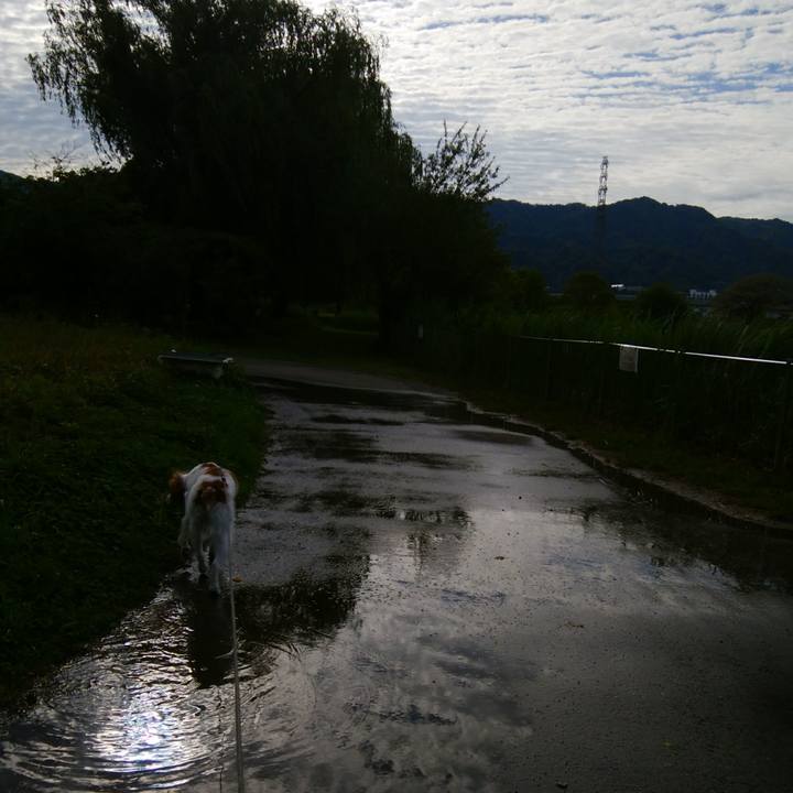 4935c256 1bea 4c0d 90f0 0a8364ceb795 1525753697234