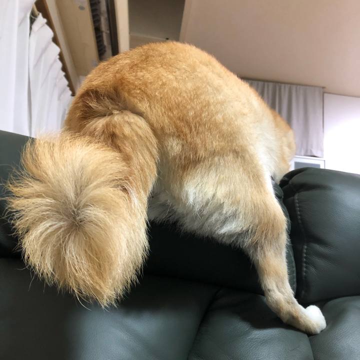 4935cf61 ab17 4e35 b0ba 9d480e30ff78 1576802766508