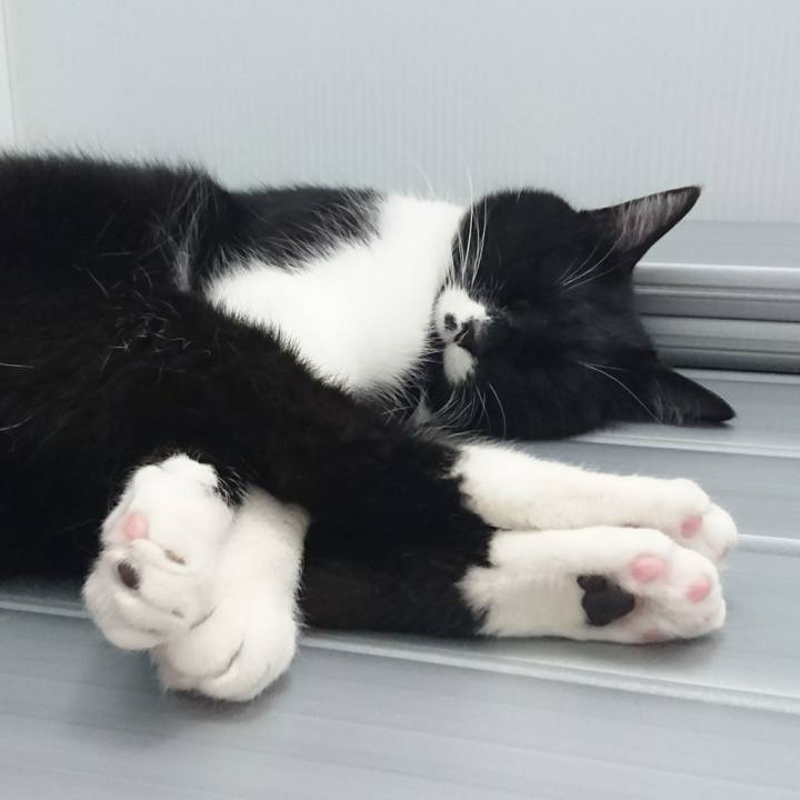 4935ddf8 6385 45cf baab 9e21cdeca21e 1524248093763