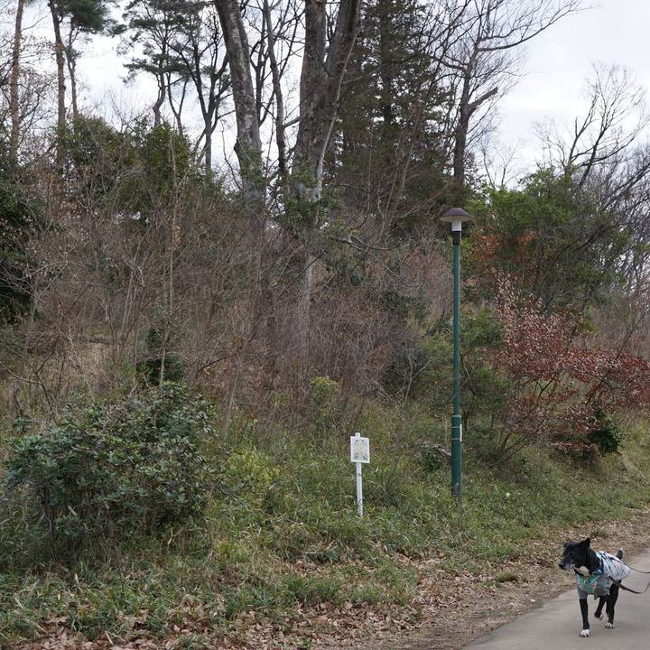 4935efbe cd50 4abe a484 8d0c82737af4 1773014511668