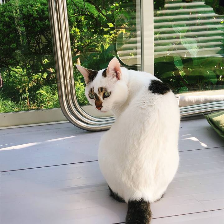 4935f30d e5fa 4d45 b59d fb67701d0f44 1588313884548