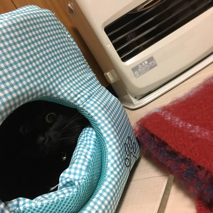 49362895 416a 427f 85e6 60a5a21669e7 1517142788258