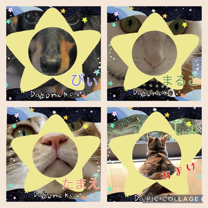 4936a545 bd94 4a51 bbad 7b03f279f4cd 1721182093201