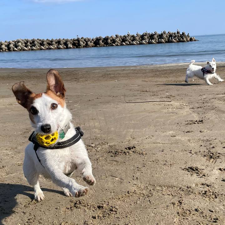 4936af00 c9c6 4cb7 bd2c 33b403f76735 1764469808595