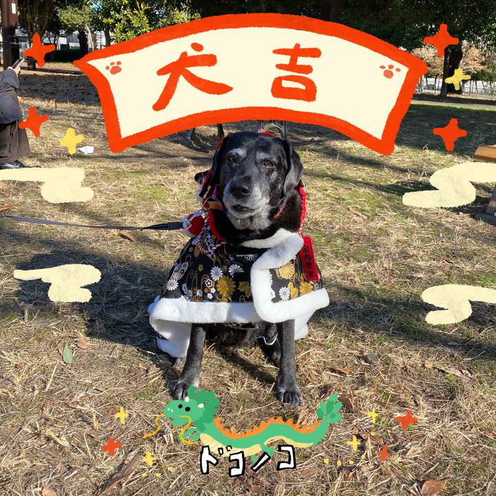 4936b2d8 6cbe 4049 b175 b0291930f685 1704081636918